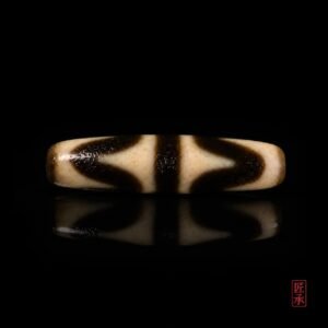 Front view of Tiger Tooth Dzi bead with black and ivory pattern